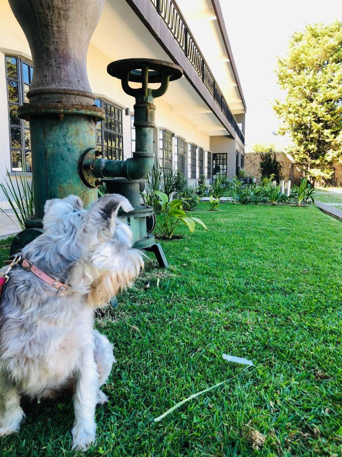 Hotel Rocaval San Cristóbal de Las Casas Extérieur photo